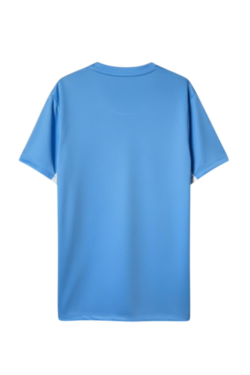 Uruguay 2025 Home kit – Fan Version