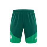 Algeria Green Sleeveless Set